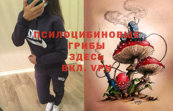 мяу мяу мука Богородск