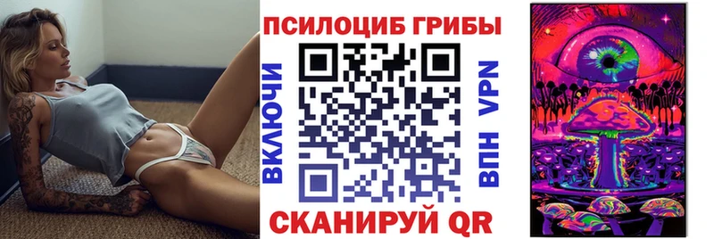 Псилоцибиновые грибы MAGIC MUSHROOMS  Купить  Бологое 